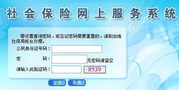 東莞社保個(gè)人賬戶查詢與社會經(jīng)濟(jì)咨詢服務(wù)指南